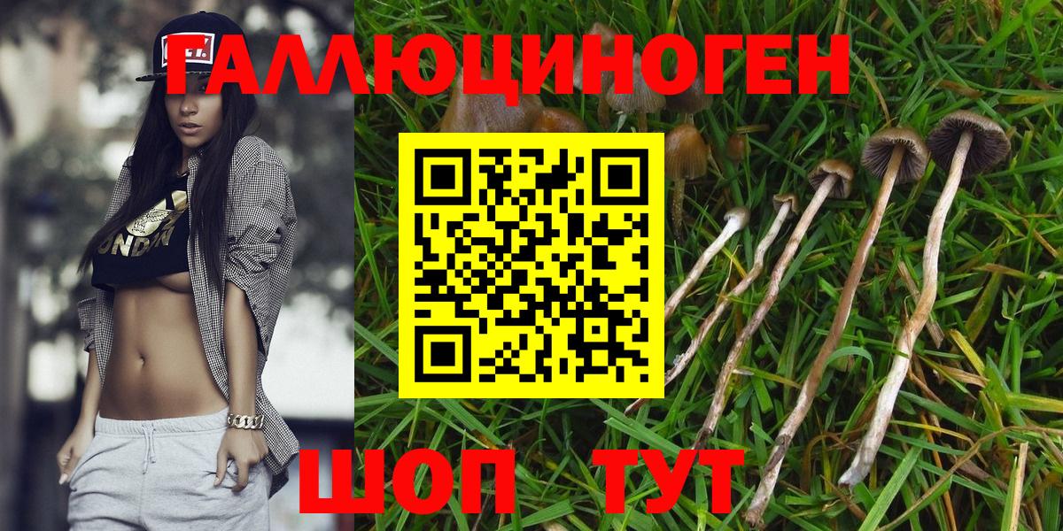 Канабис  Вход с VPN  LSD-25  ГАШИШ  Меф МЯУ МЯУ кристаллы  MDMA  Конаково  Метадон 