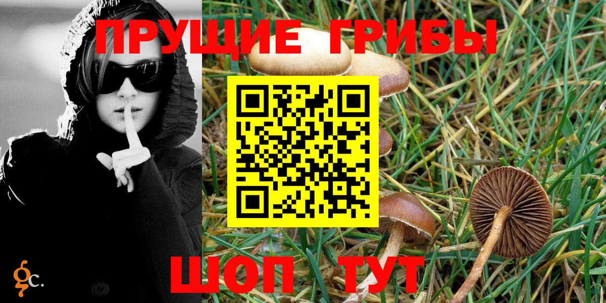 Конаково  Галлюциногенные грибы Psilocybe  Вход с VPN 